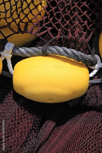 Photo: 4440f 4440f