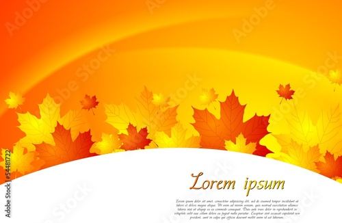 Vector: Autumn abstract background with leaves. Vector design eps 10 Autumn abstract background with leaves. Vector design eps 10