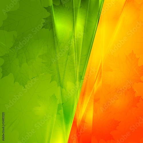 Vector: Green and orange seasonal background Green and orange seasonal background