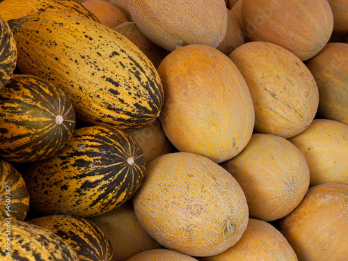 Photo: frisch geerntete melonen frisch geerntete melonen