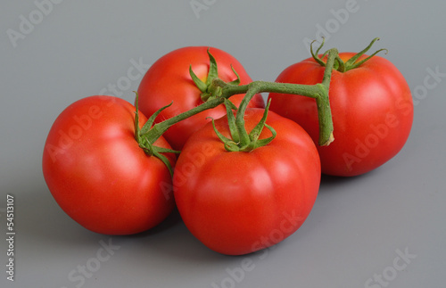 Photo: Tomato 12 Tomato 12