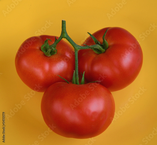 Photo: Tomato 21 Tomato 21