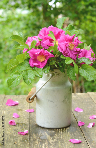 Photo: Dogrose bouquet in old milk churn Dogrose bouquet in old milk churn