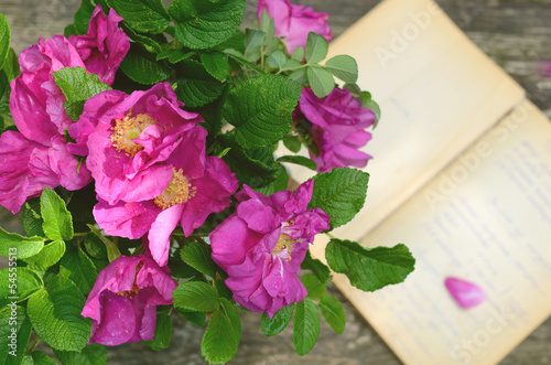 Photo: Dog rose bunch on rusted wooden background Dog rose bunch on rusted wooden background