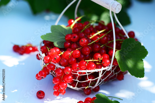 Photo: Rote Johannisbeeren Rote Johannisbeeren