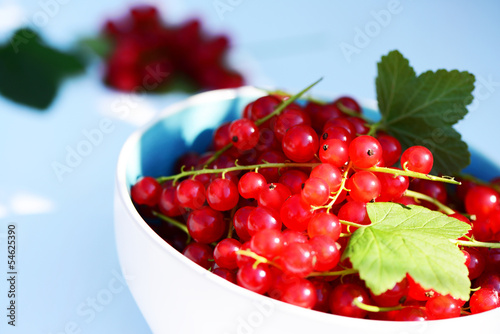 Photo: Rote Johannisbeeren Rote Johannisbeeren