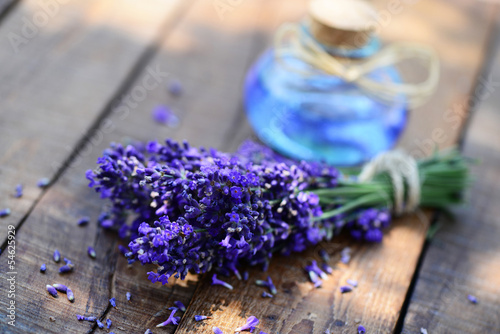 Photo: Lavendel Lavendel
