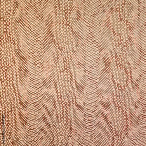 Photo: Snake skin texture Snake skin texture