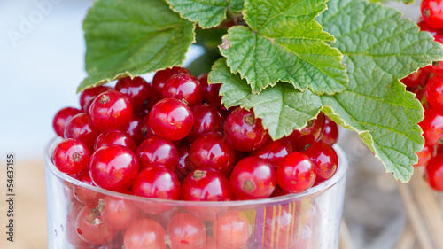 Photo: Johannisbeeren im Glas Johannisbeeren im Glas