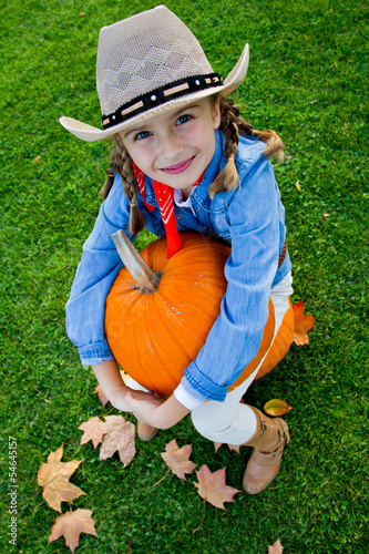 Photo: Harvest of pumpkins Harvest of pumpkins