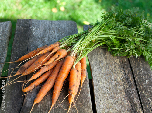 Photo: fresh carrots on wooden table fresh carrots on wooden table