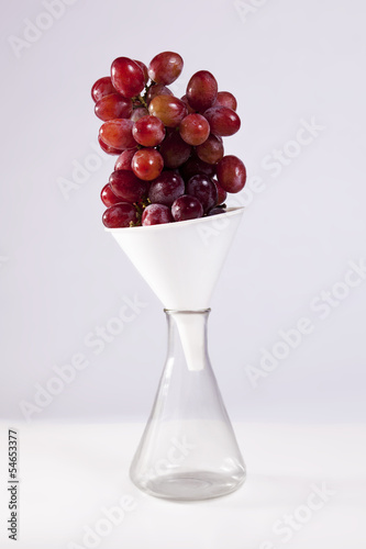 Photo: Grape Science Grape Science