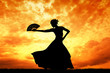 Woman dancing flamenco Woman dancing flamenco