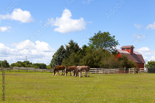Photo: American Farmland With Blue Cloudy Sky American Farmland With Blue Cloudy Sky