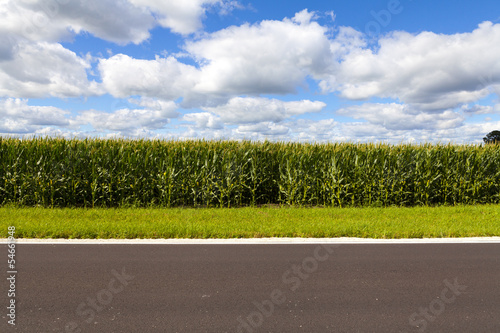 Photo: American Country Road Side View American Country Road Side View