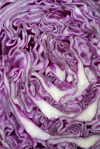 Photo: Nahaufnahme eines Rotkohls Nahaufnahme eines Rotkohls