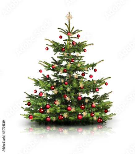 Photo: Weihnachtsbaum Weihnachtsbaum