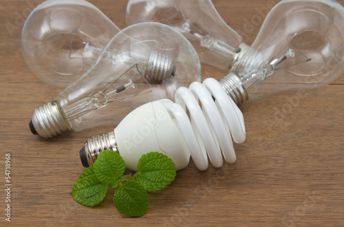 Photo: Incandescent and Compact fluorescent , concept energy-saving Incandescent and Compact fluorescent , concept energy-saving