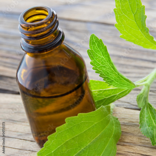 Photo: Stevia - flüssig Stevia - flüssig