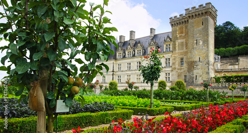 Photo: château de la Villandry château de la Villandry