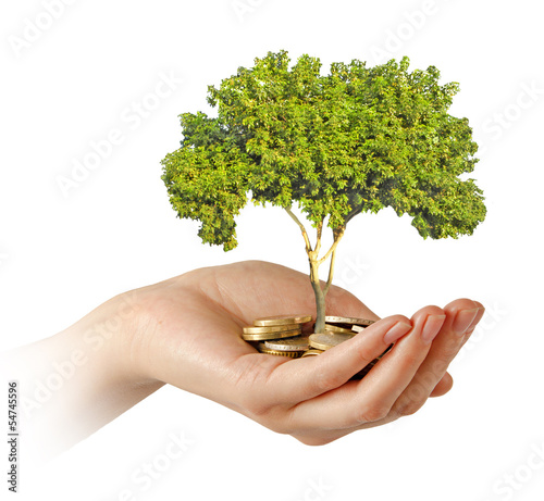 Photo: Investing to green business Investing to green business