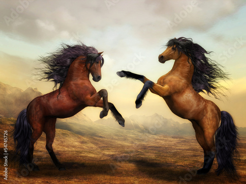 Illustration: Wilde Pferde Wilde Pferde