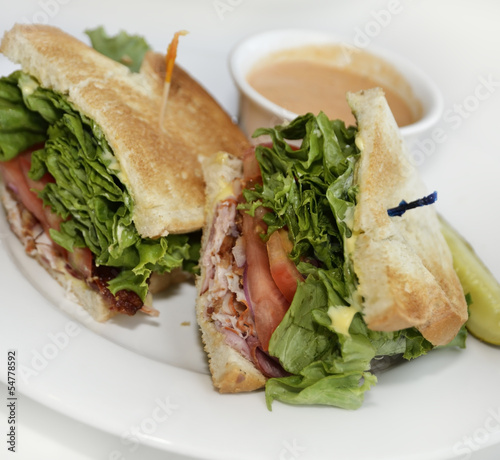 Photo: Turkey Sandwich Lunch Turkey Sandwich Lunch