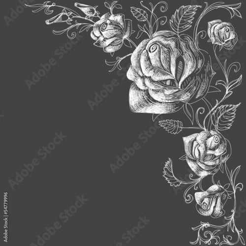 Vector: Roses decoration over dark background Roses decoration over dark background