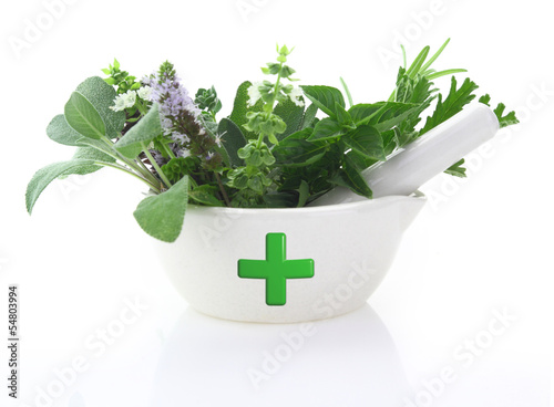Photo: Porcelain mortar with pharmacy cross and fresh herbs Porcelain mortar with pharmacy cross and fresh herbs