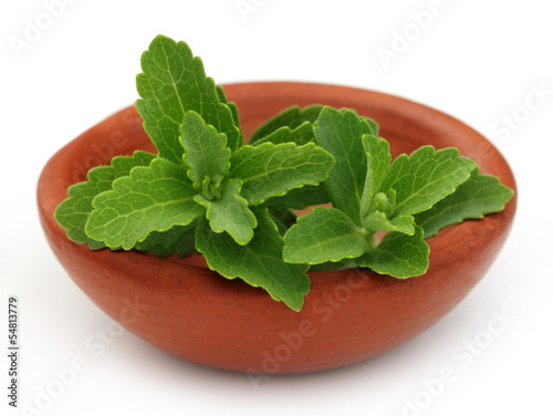 Photo: Stevia on a brown bowl over white background Stevia on a brown bowl over white background