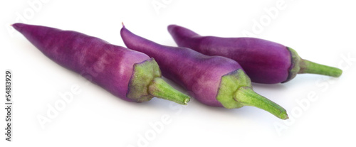 Photo: Fresh violet chili peppers Fresh violet chili peppers