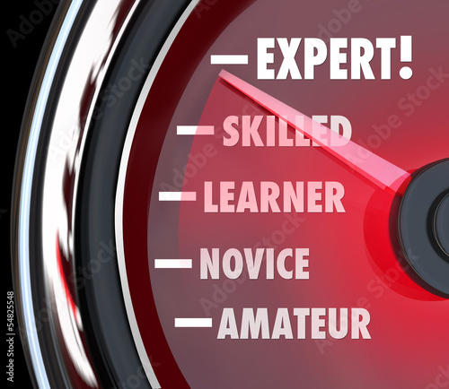 Illustration: Expert Speedometer Measuring Skill Level from Novice to Skilled Expert Speedometer Measuring Skill Level from Novice to Skilled