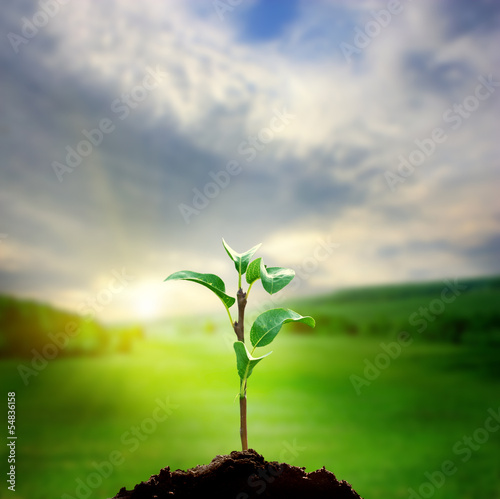Photo: New life New life
