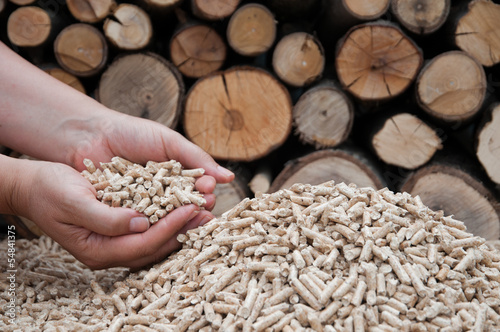 Photo: Pelllets- biomass Pelllets- biomass