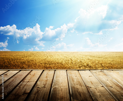 Photo: wooden floor and summer wheat field wooden floor and summer wheat field