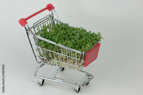 Photo: Kräuter einkaufen Kräuter einkaufen