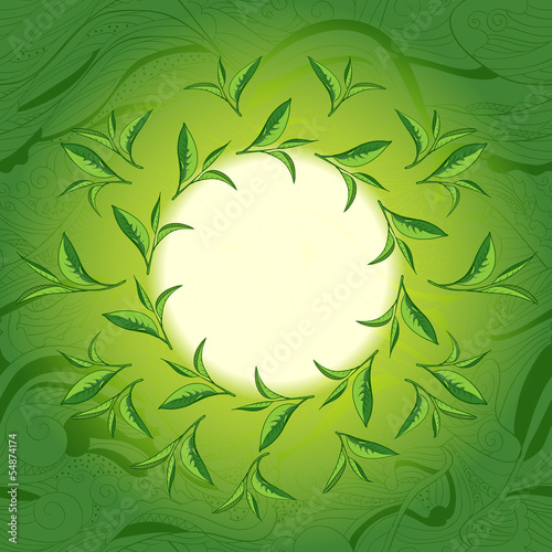 Vector: Green tea leaves label (place for your text) Green tea leaves label (place for your text)