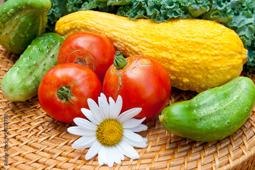 Photo: Tomatoes, cucumbers, squash and kale cabbage stems from local g Tomatoes, cucumbers, squash and kale cabbage stems from local g