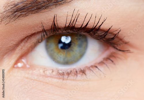 Photo: Woman eye. Woman eye.