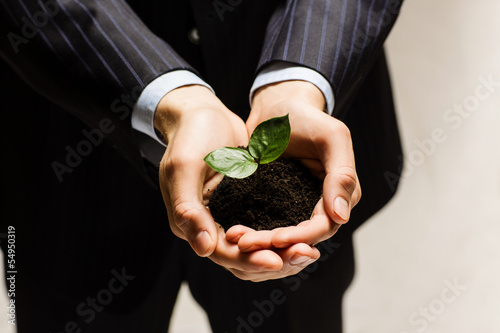 Photo: Sprout in hands Sprout in hands