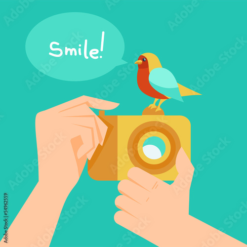 Vector: Vector digital camera and cartoon bird Vector digital camera and cartoon bird