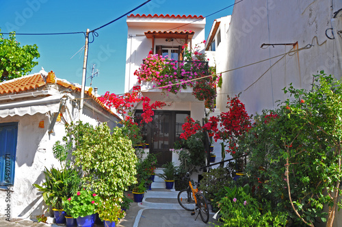 Photo: griechische häuser mit blumen auf samos griechische häuser mit blumen auf samos