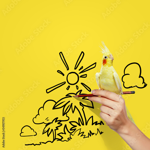 Photo: Parrot sitting on hand Parrot sitting on hand