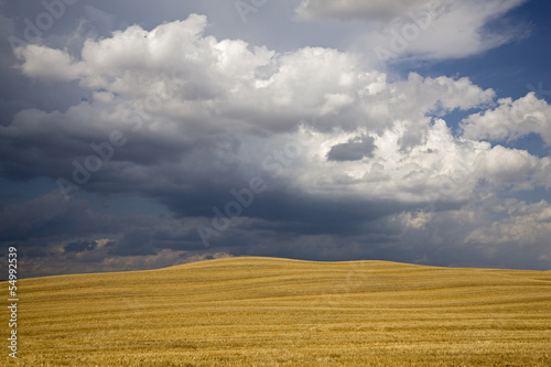 Photo: Italien, Toskana, Gewitterwolken über Maisfeld Italien, Toskana, Gewitterwolken über Maisfeld