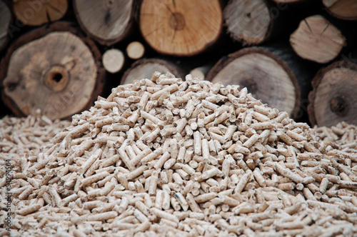 Photo: Biomass Biomass