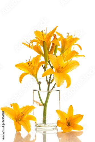 Photo: yellow lily yellow lily