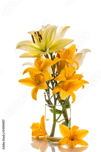 Photo: yellow lily yellow lily