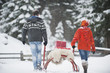 Foto: Österreich, Land Salzburg, Flachau, Junger Mann und Frau, die Weihnachtspakete auf Schlitten im Schnee Österreich, Land Salzburg, Flachau, Junger Mann und Frau, die Weihnachtspakete auf Schlitten im Schnee