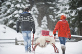 Photo: Österreich, Land Salzburg, Flachau, Junger Mann und Frau, die Weihnachtspakete auf Schlitten im Schnee Österreich, Land Salzburg, Flachau, Junger Mann und Frau, die Weihnachtspakete auf Schlitten im Schnee