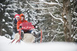 Foto: Österreich, Land Salzburg, Flachau, Junge Frau sitzt auf Schlitten mit Weihnachtsgeschenken Österreich, Land Salzburg, Flachau, Junge Frau sitzt auf Schlitten mit Weihnachtsgeschenken